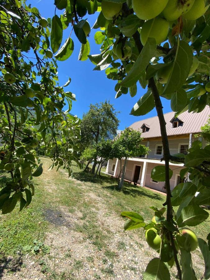 Villa Belinis Theth Exterior foto